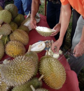 durian