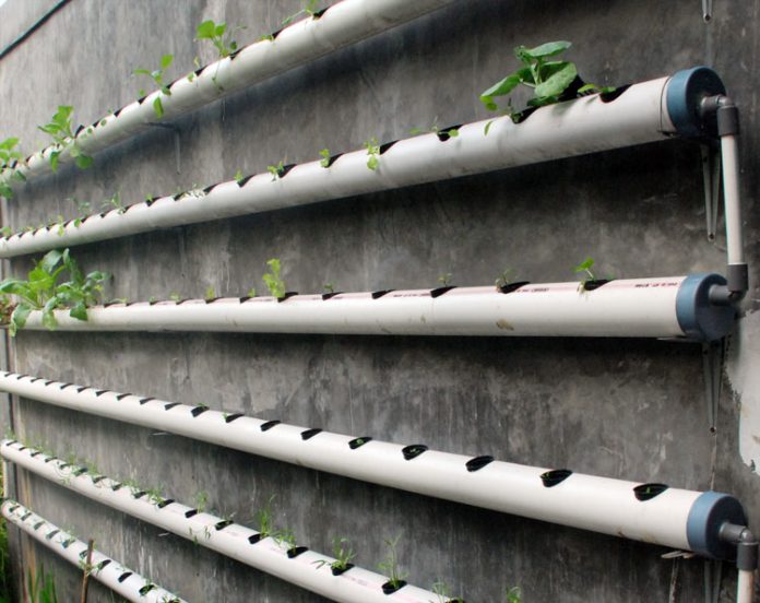 hidroponik hidroponik