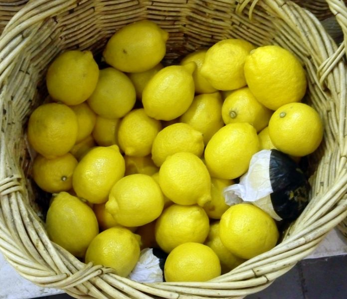 jeruk lemon