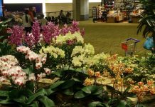 Bandara Changi Terbaik Dunia 2016 bandara changi