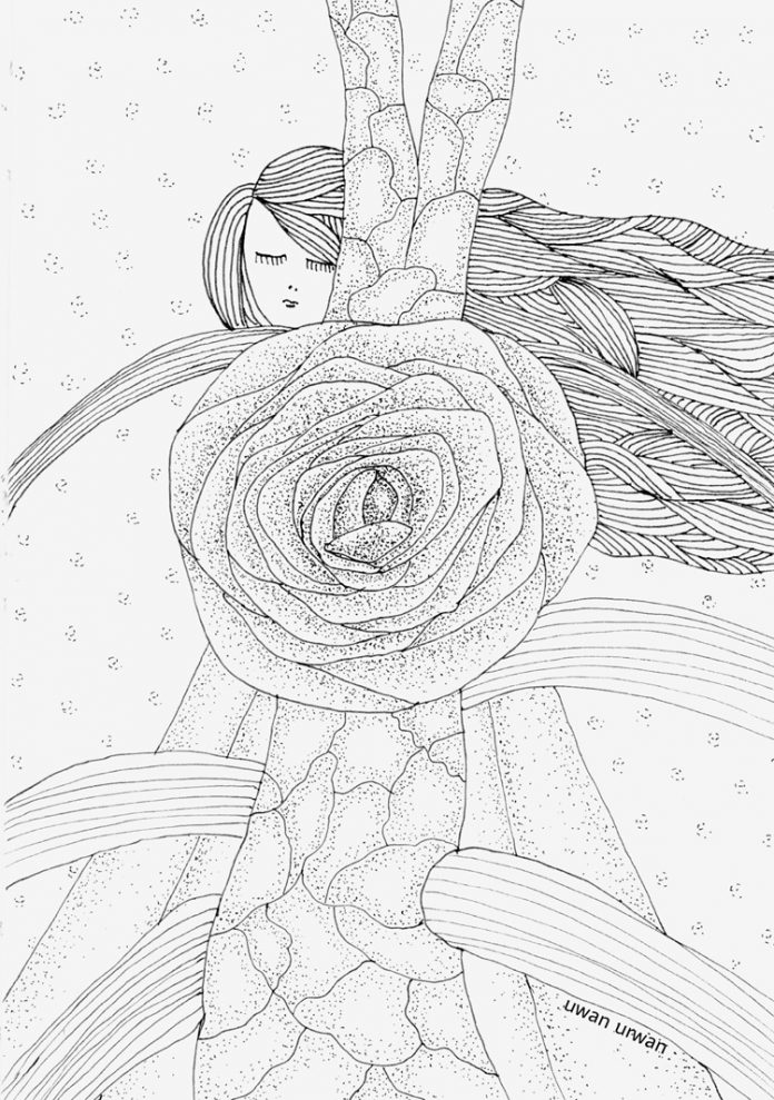 seni doodle