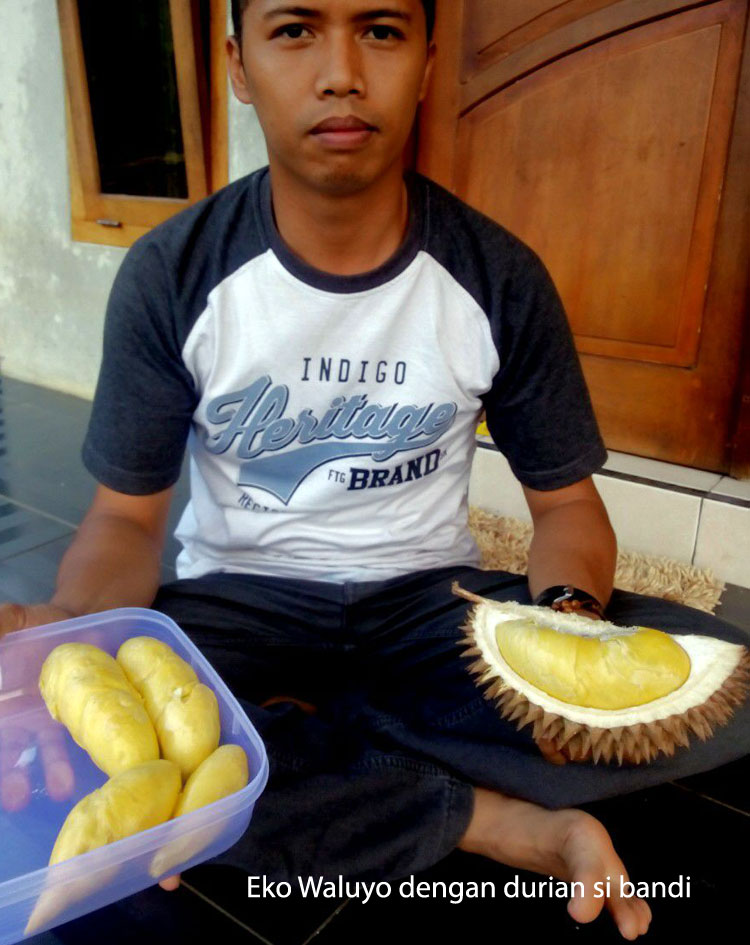 Tiga Durian Top Banjarnegara | Bebeja.com
