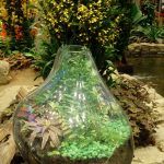 Terarium Taman Mini