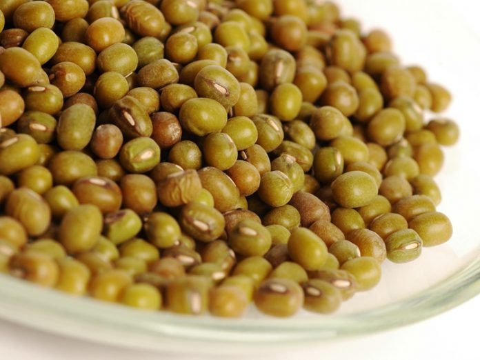 kacang hijau kacang hijau