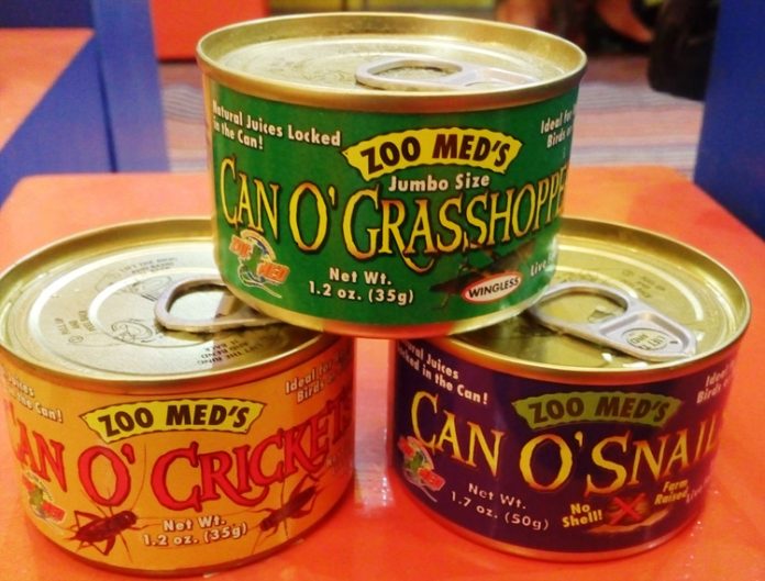 pakan serangga pakan serangga