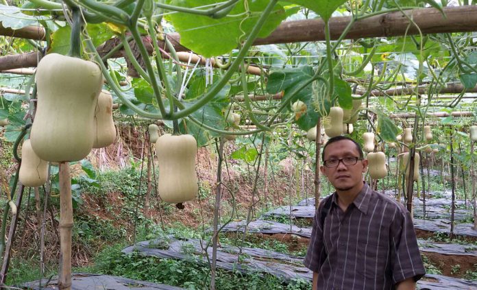 butternut squash butternut squash