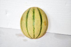 kontes melon