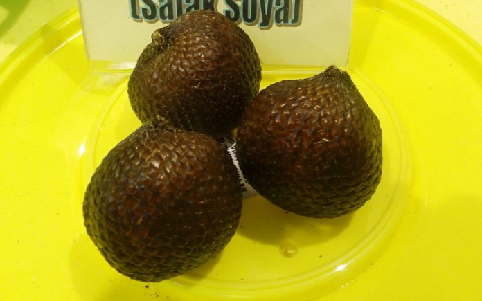 salak ukupati