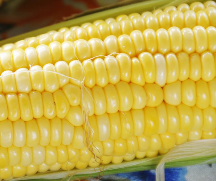 efek xenia efek xenia