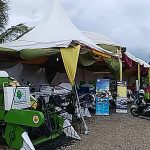 penas xv ktna 2017