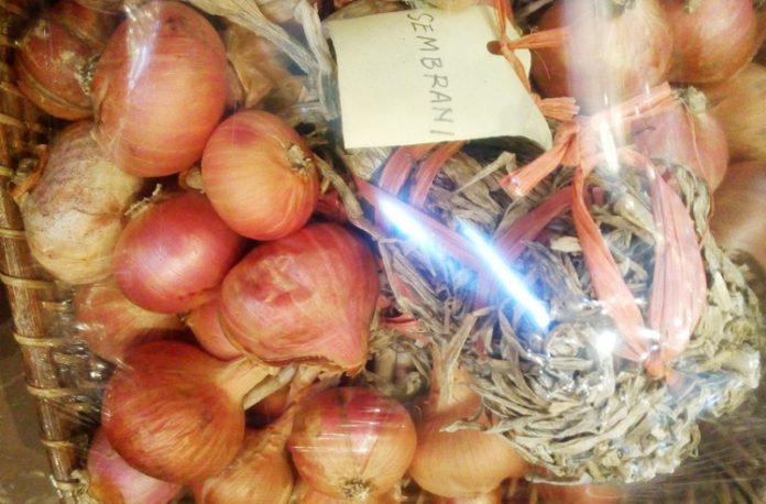 bawang merah bawang merah