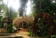 Bebeja Flona 2017 (1): Semarak Hutan Tropis tema hutan