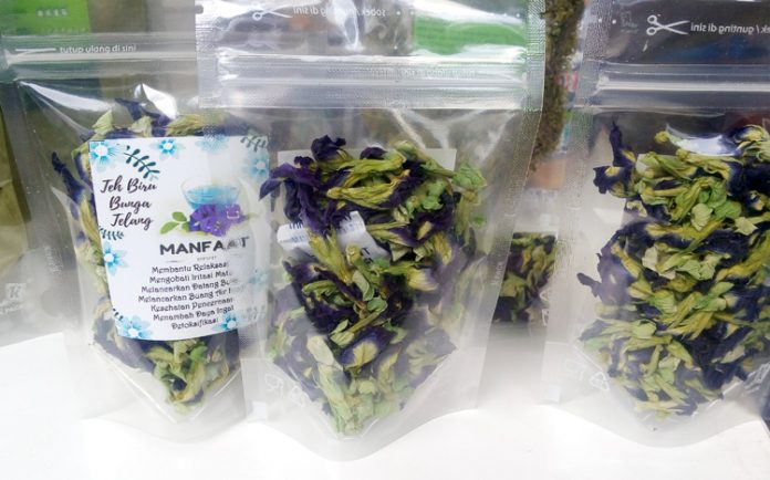 bunga telang bunga telang