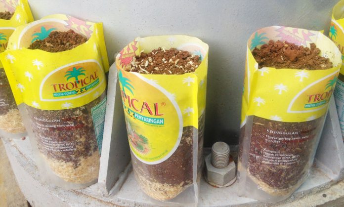 pot minyak goreng