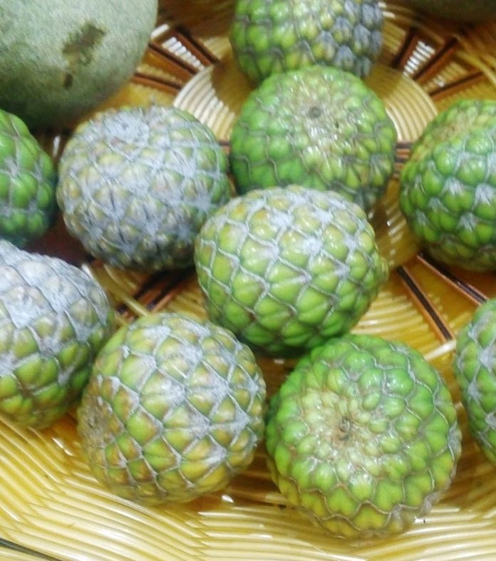 buah rumbai