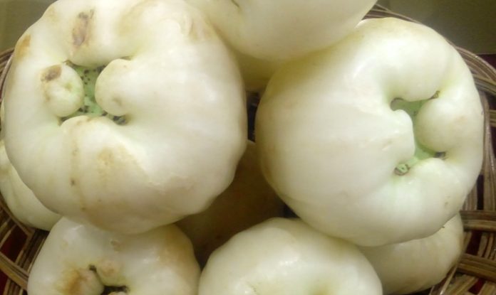 jambu air