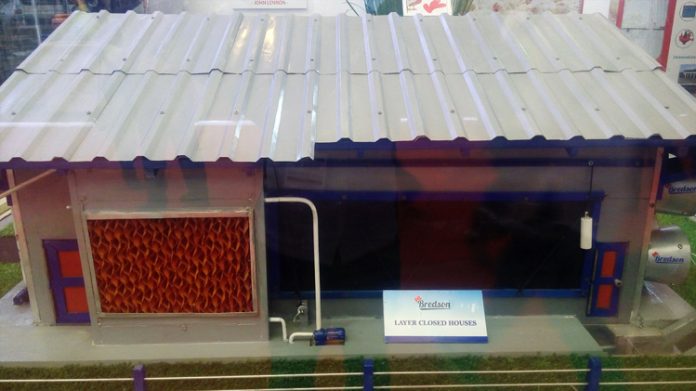 indonesian livestock award
