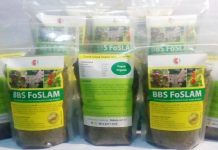 Pakai Pupuk Organik BBS FoSLAM pupuk bbs foslam