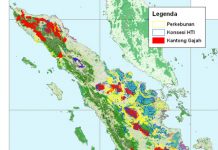 Kisah Septi Dari Kota Subulussalam kantong gajah sumatera