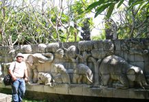 Gajah Dan Budaya gajah