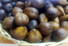 Salak Pondoh Kabupaten Bungo salak pondoh