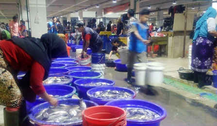 pasar ikan pasar ikan
