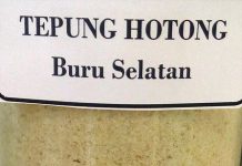 Spesial Tepung Hotong tepung hotong