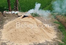 Empat Manfaat Arang Sekam arang sekam