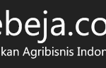 bebeja-logo-retina