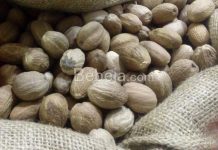 Cara Menaikkan Kadar Sabinen Minyak Pala buah pala