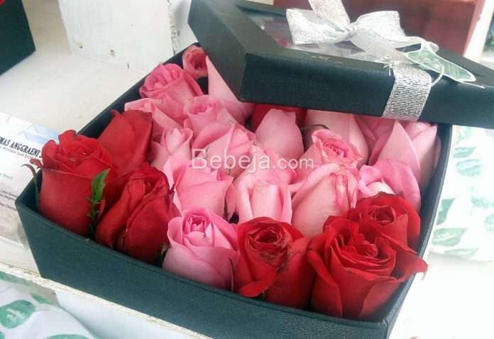 prospek usaha bunga mawar bunga mawar