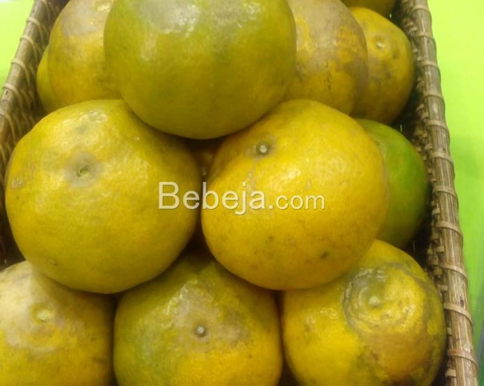 buah-infused-water buah jeruk