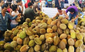 durian unggul