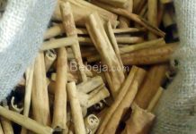 Kombinasi Herbal Pada Infused Water kayu manis