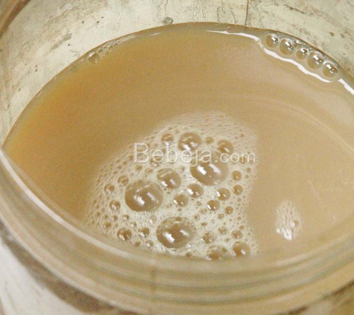 pupuk-daun-untuk-hidroponik pupuk daun