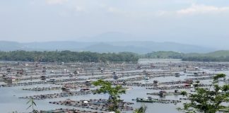 Beban Berat Lingkungan Waduk Cirata waduk cirata